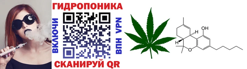 Каннабис планчик Алзамай
